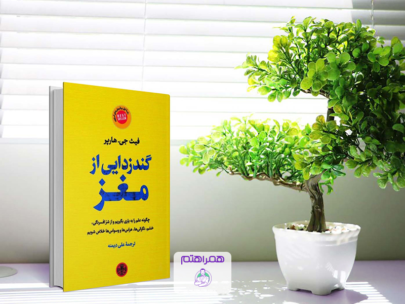 گندزدایی از مغز